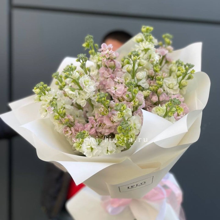 29 маттиол  в Ижевске