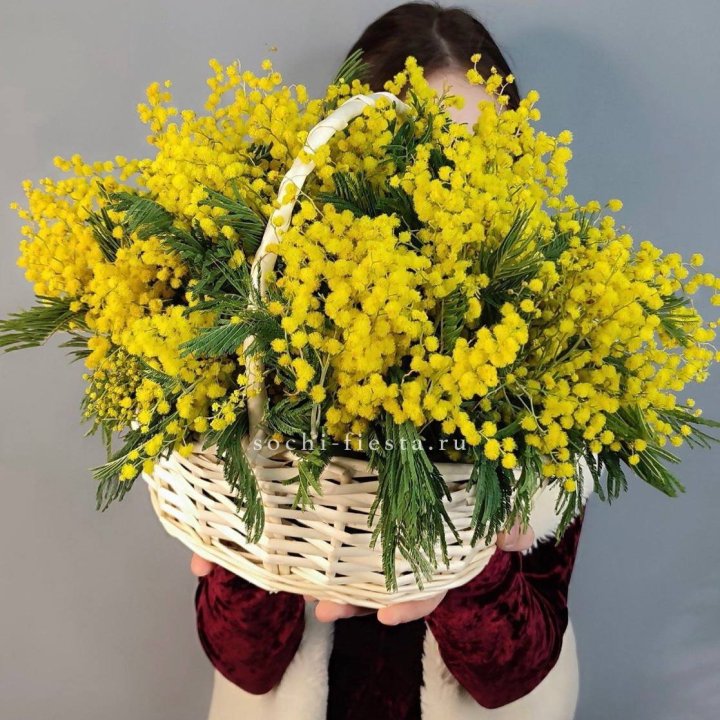 Корзина ароматной мимозы в Ижевске