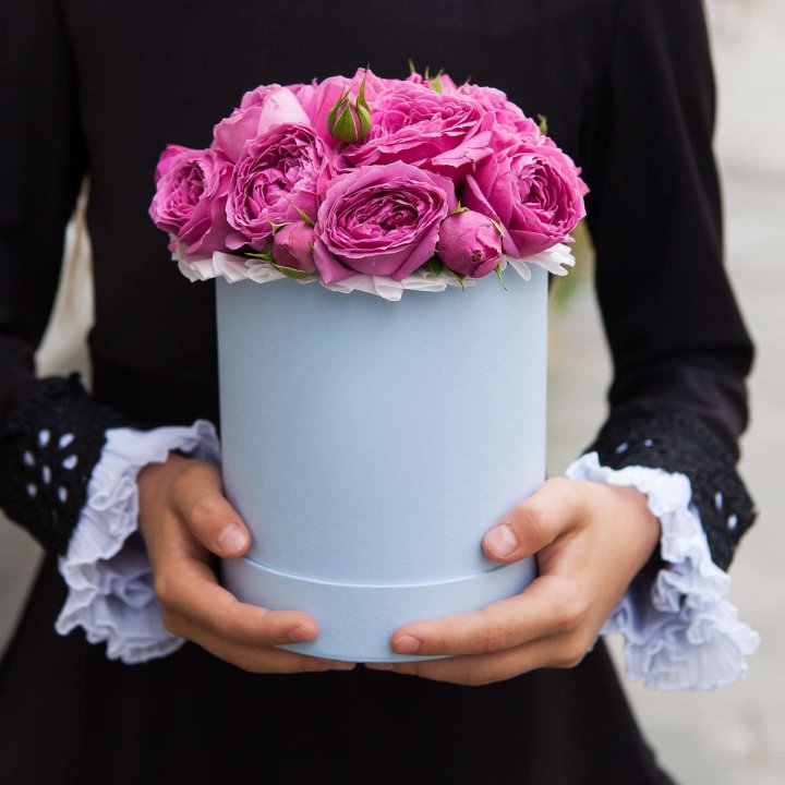 Бокс мини мисти в Ижевске