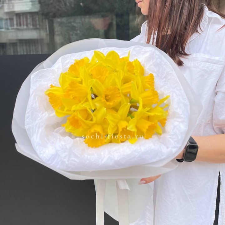 Нарциссы 25 шт в Ижевске