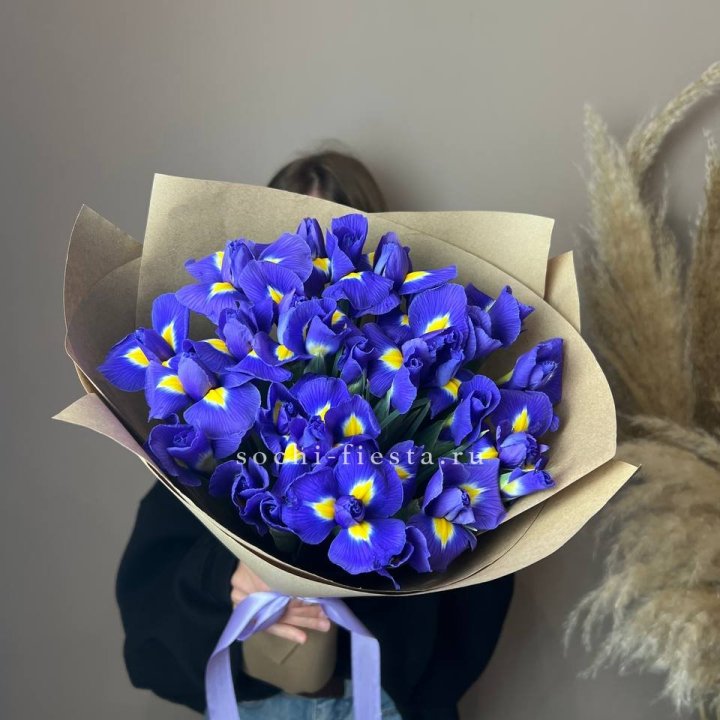 Ирисы в Ижевске