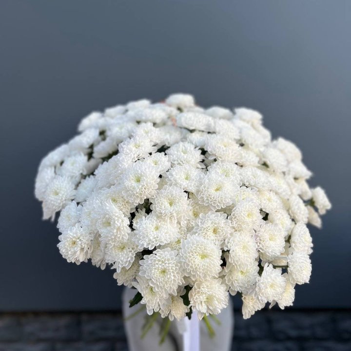  25 хризантем белых в Ижевске