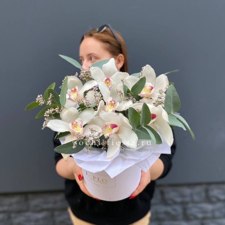 7 орхидей в боксе в Ижевске