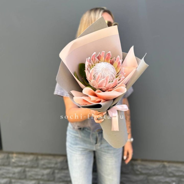 Протея мини  в Ижевске