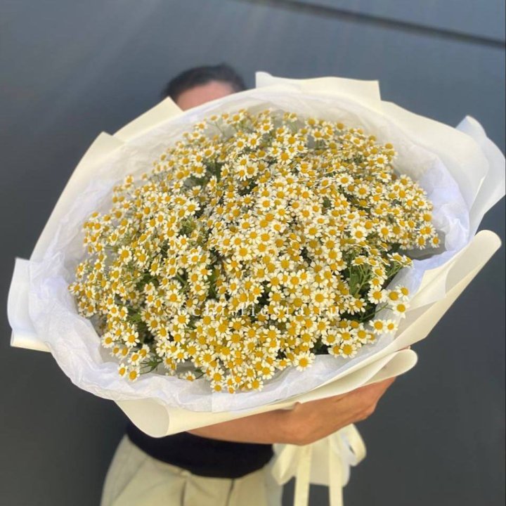 Букет ромашек №2 в Ижевске