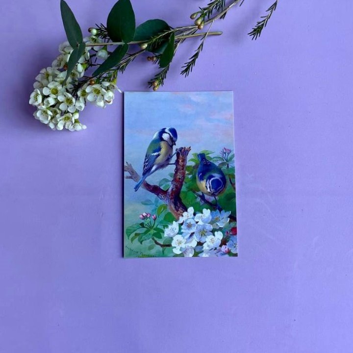 Открытка к букету "Птицы" в Ижевске