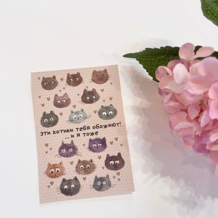 Открытка к букету "Котики" в Ижевске
