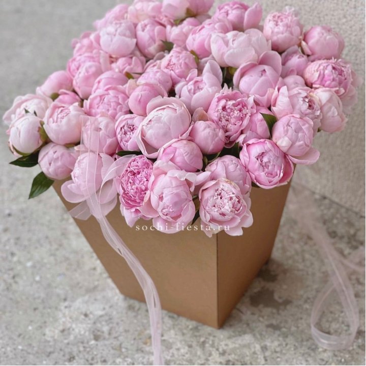 49 пионов в крафт коробке в Ижевске