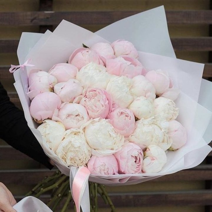 29 пионов в Ижевске