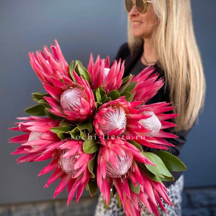 Протея штучно в Ижевске