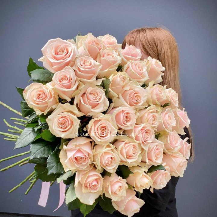 35 кремовых высоких роз в Ижевске