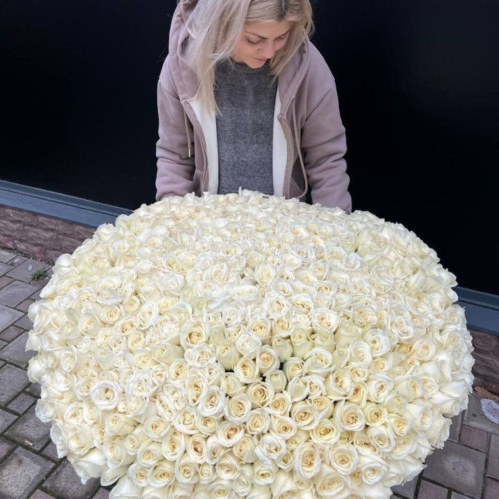 501 белая роза в корзине в Ижевске