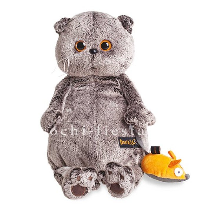 Кот Басик с мышкой в Ижевске