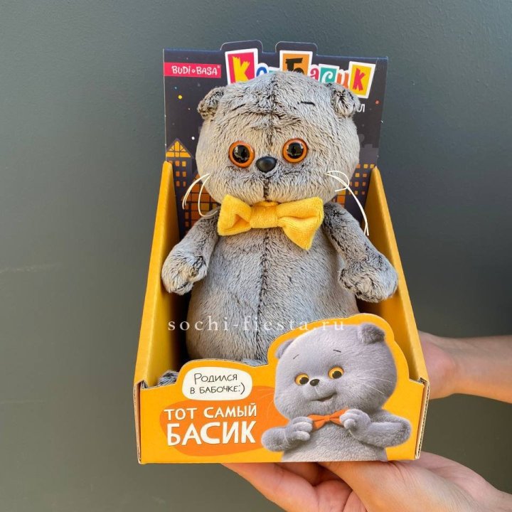 Кот Басик с бабочкой в Ижевске