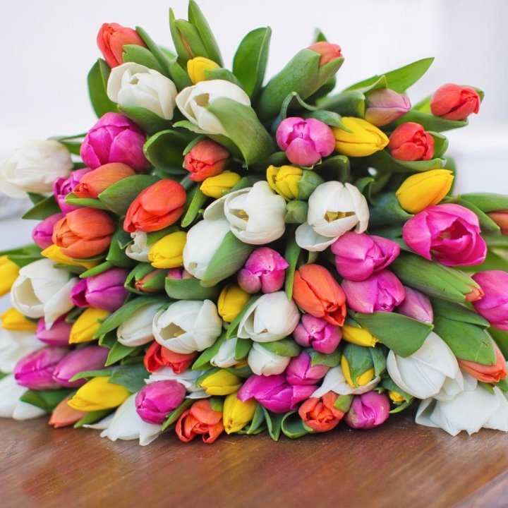 79 тюльпанов "Рандом" в Ижевске