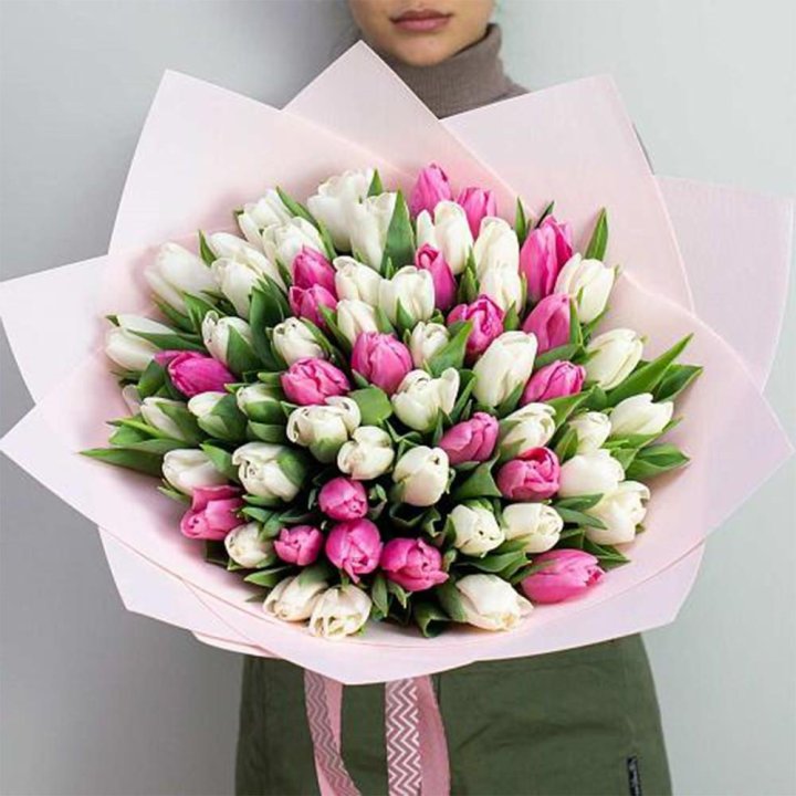 61 бело-розовый тюльпан в Ижевске