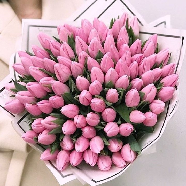 101 розовый тюльпан в белом в Ижевске