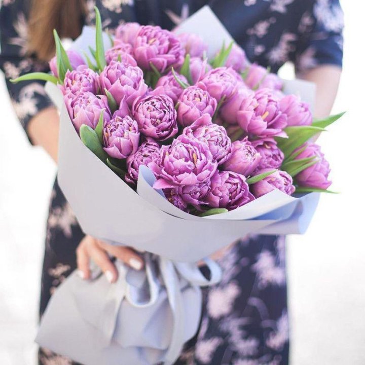 Тюльпаны "Пионс" в Ижевске