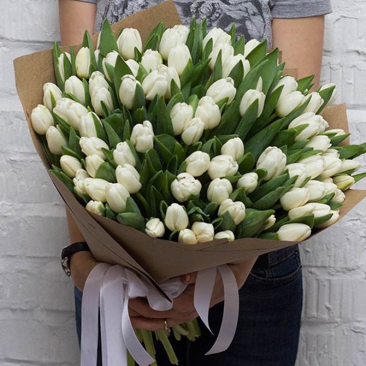 101 тюльпан сноу в Ижевске