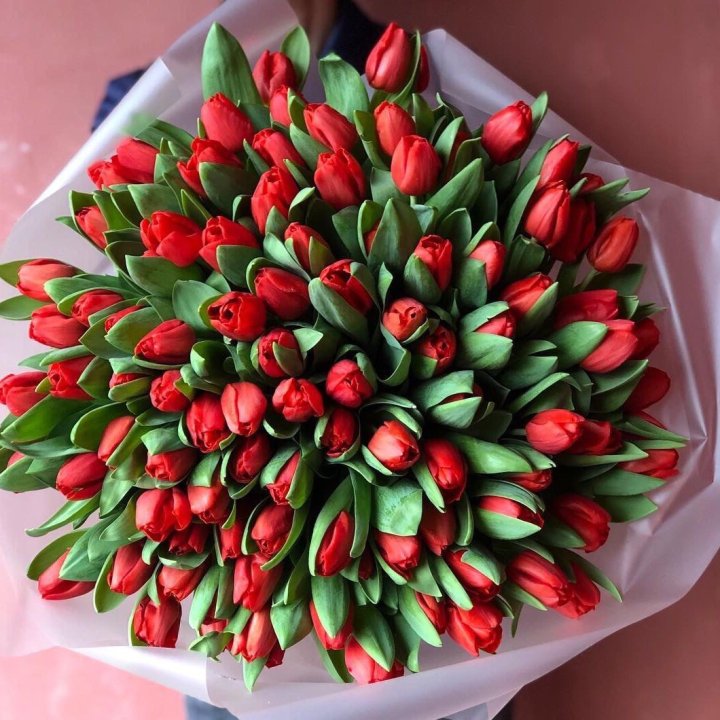 101 красный тюльпан в Ижевске